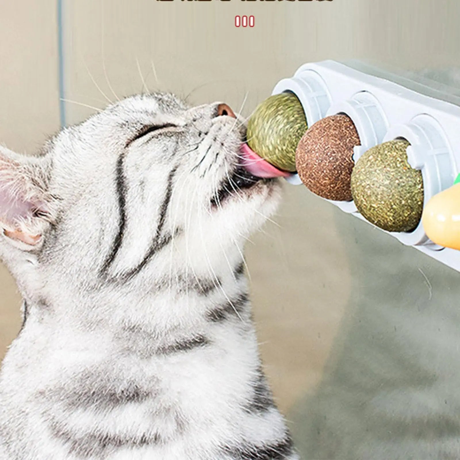 Catnip and Silvervine Chew Balls - 4 Pack, Dental Treats for Cats, Edible Toys for Energy and Flavor, Suitable for All Breeds