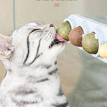 Catnip and Silvervine Chew Balls - 4 Pack, Dental Treats for Cats, Edible Toys for Energy and Flavor, Suitable for All Breeds
