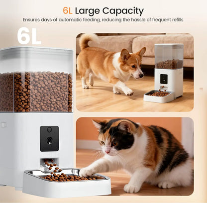 Automatic Pet Feeder with HD Camera, 5G Wi-Fi App Control, Two-Way Audio, Night Vision, and Portion Scheduling for Cats and Dogs, Featuring a Stainless Steel Bowl