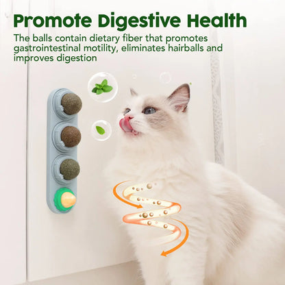 Catnip and Silvervine Chew Balls - 4 Pack, Dental Treats for Cats, Edible Toys for Energy and Flavor, Suitable for All Breeds