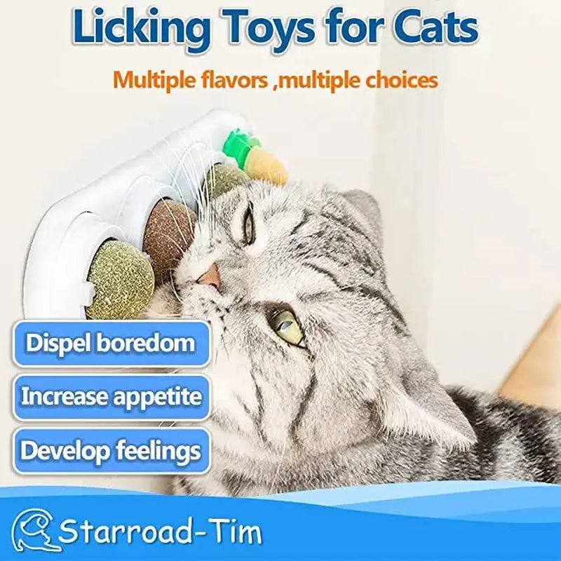 Catnip and Silvervine Chew Balls - 4 Pack, Dental Treats for Cats, Edible Toys for Energy and Flavor, Suitable for All Breeds